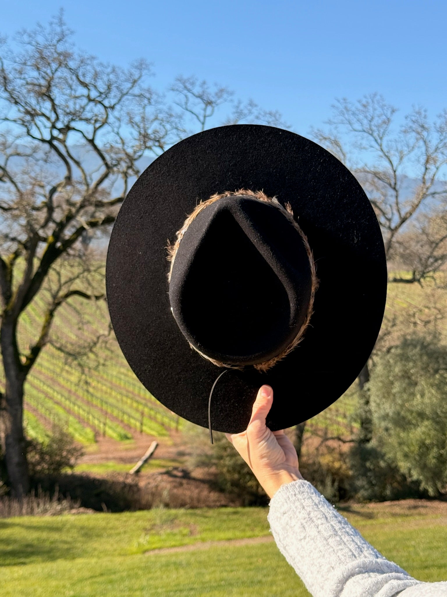 Winter Wine Vibes